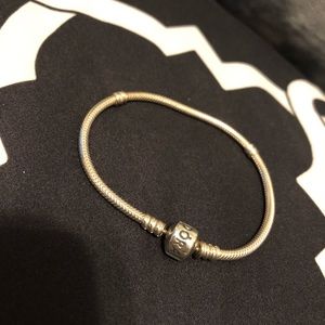 Pandora Charm Bracelet